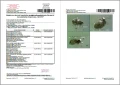 pluskwy w domu kleszcze obrzezki pchly karta badania tradycyjnego