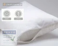 pokrowce-na-poduszki-przeciw-pluskwom.webp